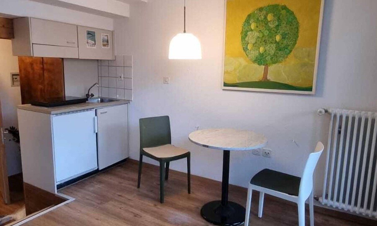 Savognin Apartment | 1 room apartment for 2 people with a view of the ski slope