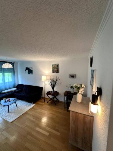Baden Apartment | A furnished room in our cozy apartment