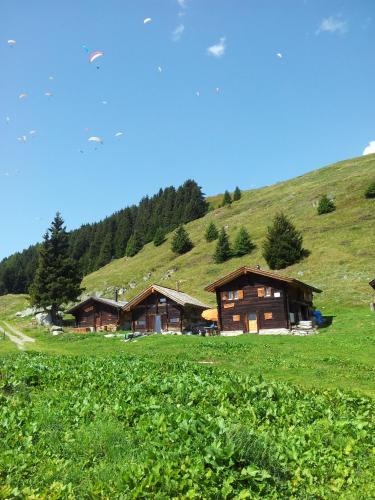 Fiesch Ski Chalet | Alphütte Bielerhüs