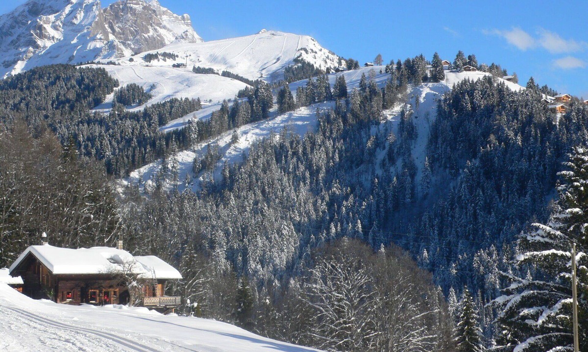 Chesieres House | Beautiful private villa for 8 people with WIFI, TV, terrace and panoramic view