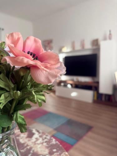 Ripamonti Corvetto Apartment | Benaco Apartment - 98mq Comfort & Style -Milano- Fondazione Prada