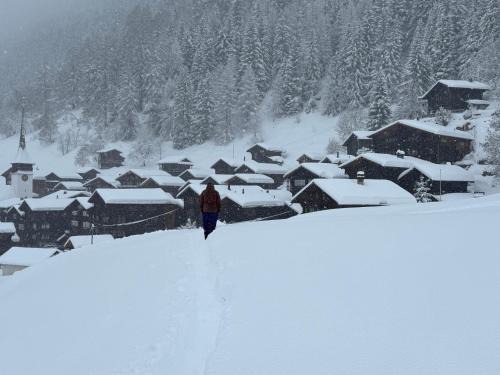 Niederwald Ski Chalet | Chalet in Niederwald