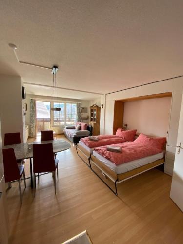 Flims Apartment | Charming studio with a view