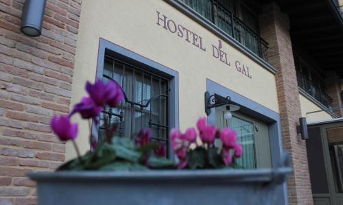 Clusane Apartment | Hostel del Gal