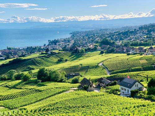 Lutry House | #Lavaux