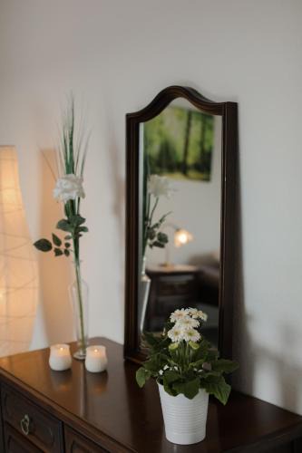 Munchenbuchsee Apartment | Mooshof Apartment