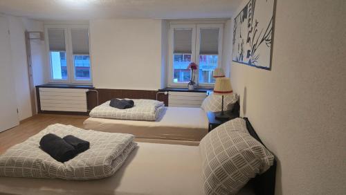 Trimbach Apartment | Muhusin Apartments Trimbach