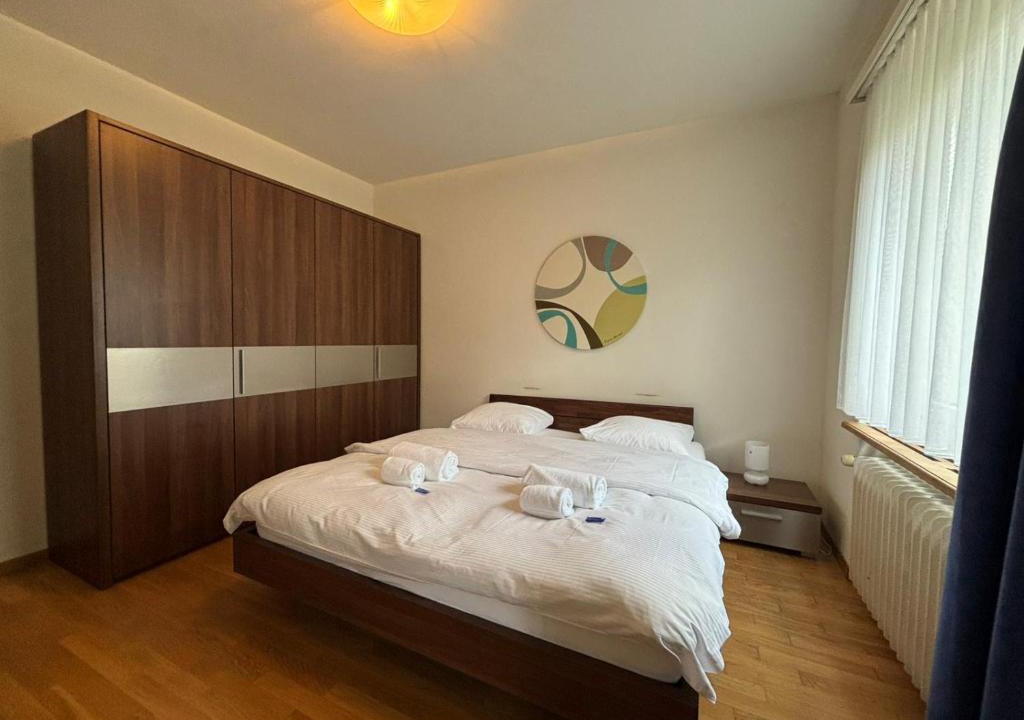 Muhlebach Apartment | Spacious 1BR near Lake and Opera - Mill 3 11