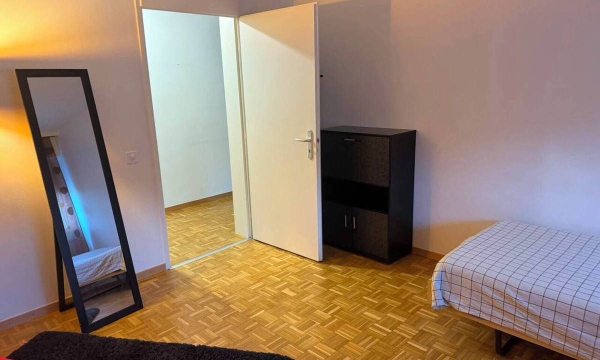 Carouge Apartment | Terrific 1 Large bedroom apartment in charming Carouge near local spots