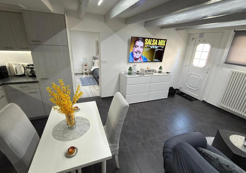 Bussigny-pres-Lausanne Apartment | The little urban luxury