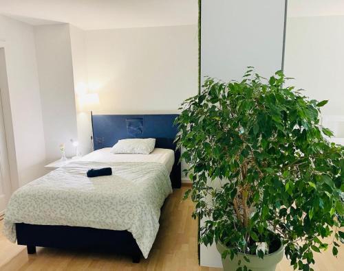 Olten Apartment | Vantage Point 101