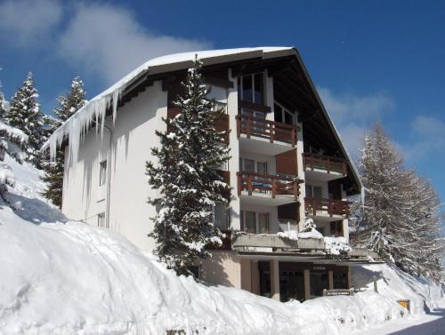 Murren Apartment | Your home in Mürren near the ski slopes and hiking trails