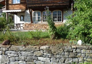 Ferienwohnung-Brienz