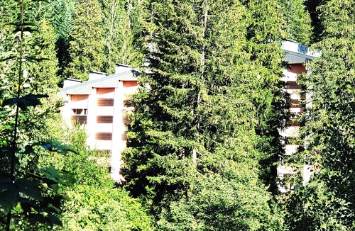 Laax Apartment | 2-room holiday flat with swimming pool and sauna