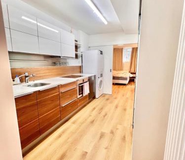 Horgen District Apartment | 4 mins walk Thalwil Station, Free Parking, Historical