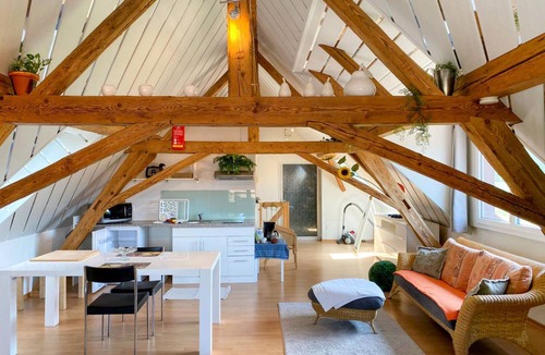 Wangenried Apartment | 63 m² Apartment ∙ 1 bedroom ∙ 2 guests
