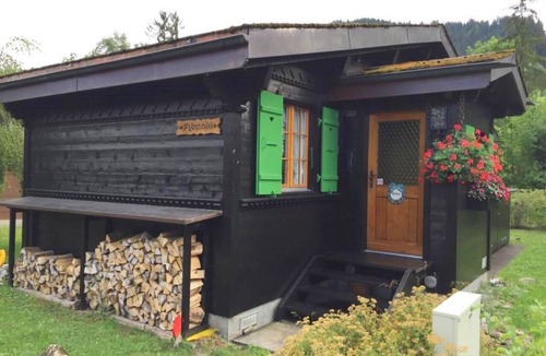 Saanen Apartment | Abnaki, Chalet Appartement/Fewo, Dusche oder Bad, WC 2-Bettwohnung by Interhome