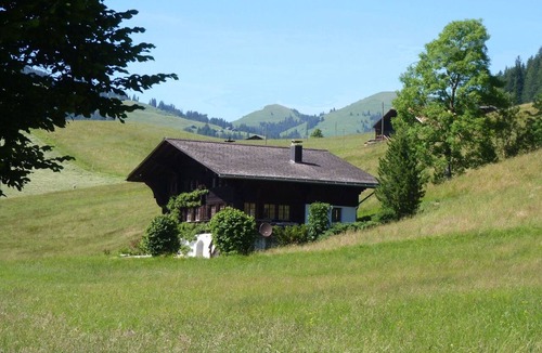 Saanen Apartment | Aerneli, Chalet Appartement/Fewo, Dusche oder Bad, WC 6-Bettwohnung by Interhome