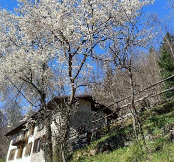 Valnegra Bed & Breakfast | Ai Ruc