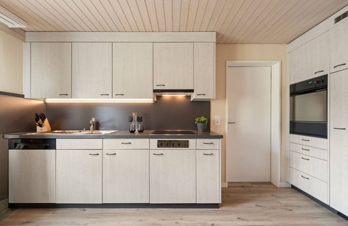Altdorf Apartment | AlpsView Amber/FreeParking/AC/Andermatt/Lucerne