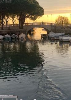 Rivoltella Apartment | Antonella Gardalake 2