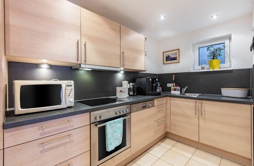 Todtnauberg Apartment | Apartment 'Bergahorn Typ C' with Mountain View, Private Terrace and Wi-Fi