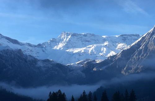 Adelboden Apartment | Apartment Hari by Interhome