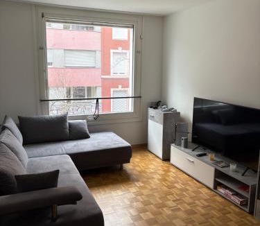 Matthaus Apartment | Apartment in Basel