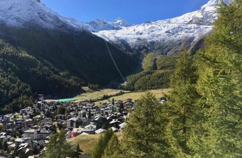 Saas-Fee Apartment | Apartment Mikado by Interhome