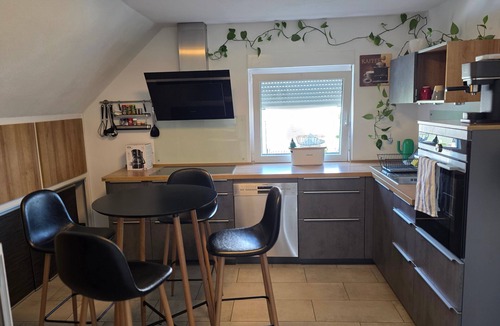 Owingen Apartment | Apartment "Studio Seeperle" with Private Garden, Balcony, and Wi-Fi