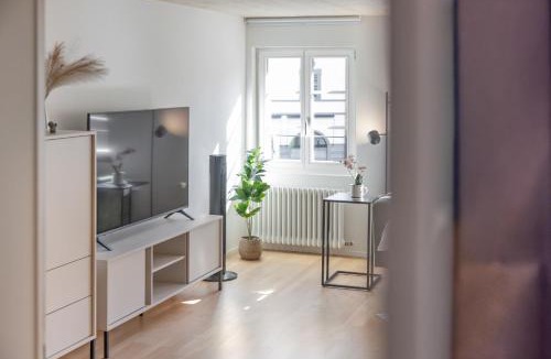 Kuessnacht Apartment | BASEKAMP Prime I Friends I Lake I Mountains I Luzern