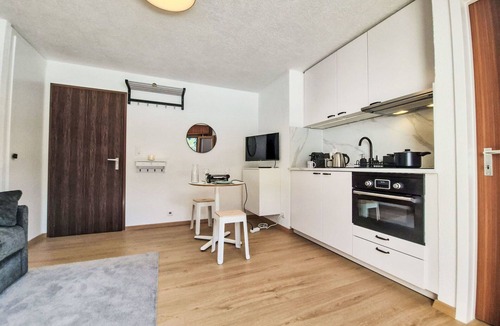 Ovronnaz Apartment | Beautiful apartment for 2 people with WIFI, TV, balcony and pets allowed