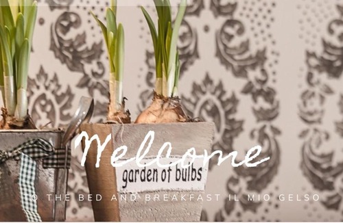Villanova d'Asti Bed & Breakfast | Bed & Breakfast Il mio Gelso
