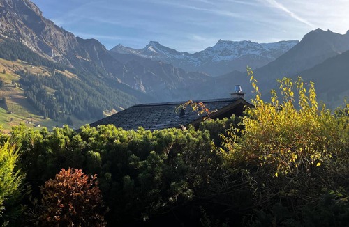 Adelboden Apartment | Blick auf das Chuenisbärgli FIS Skirennen