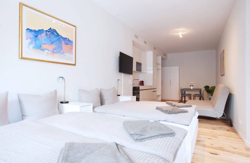 Basel City Centre Apartment | BS Hodler II - Marktplatz HITrental Apartment