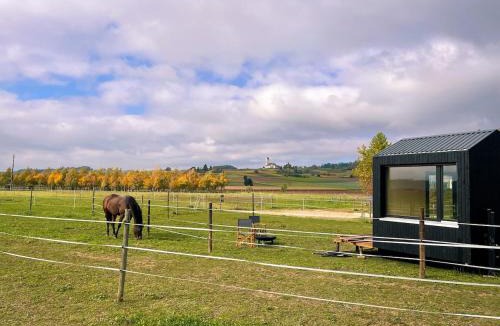 Busserach House | Cabin stay with optional Donkey Picnic Experience