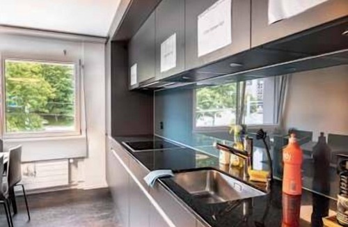 St. Gallen Apartment | Central St. Gallen Studio (brown): Fast WiFi & kitchen for shared use