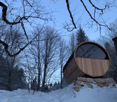 Saint-Cergue Apartment | Chalet OTT - apartment in the mountains with sauna