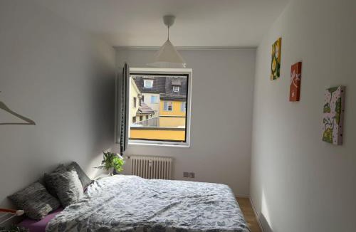 St. Gallen Apartment | City Center big Appartement