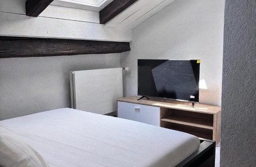 Fribourg Apartment | Comfortable Bijoux with Cathedral View