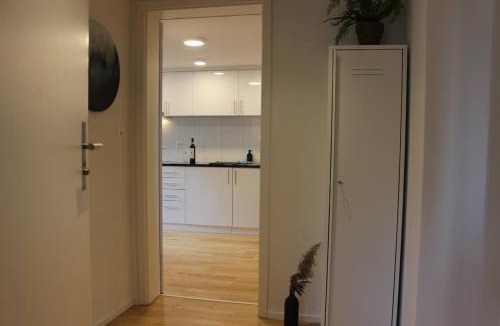 St. Gallen Apartment | Completely renovated apartment near the train station and the center