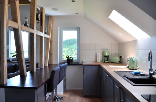 Gehlberg Apartment | Cozy apartment with fireplace and wonderful view of the Thuringian mountains