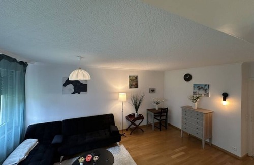Baden Apartment | Cozy Furnished Room in Baden with Easy Transport Access