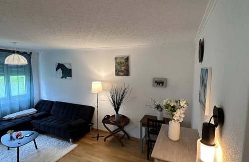 Baden Apartment | Cozy Furnished Room in Baden with Easy Transport Access