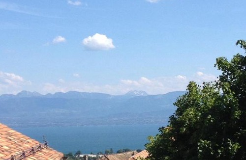 Tartegnin Bed & Breakfast | Domaine Viticole