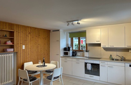 Leysin Apartment | Dreamy mountain chalet, with nature & views, 2-bedroom apartment in Leysin