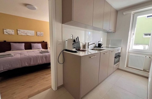 Oerlikon Apartment | Elegant Studio in Zurich w/Balcony (302-16)