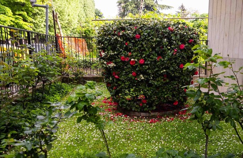 Vercelli Apartment | Entire housing within walking distance of the center