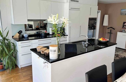 Horgen District Apartment | Garden apartment at Zurich lake