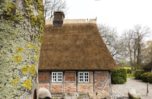 Damp House | Gem under thatch with historic wood-burning stove and dreamlike garden